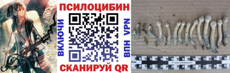 Галлюциногенные грибы Cubensis  Купить  Лермонтов 