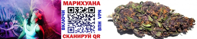 Купить  Лермонтов  Бошки Шишки ГИДРОПОН 